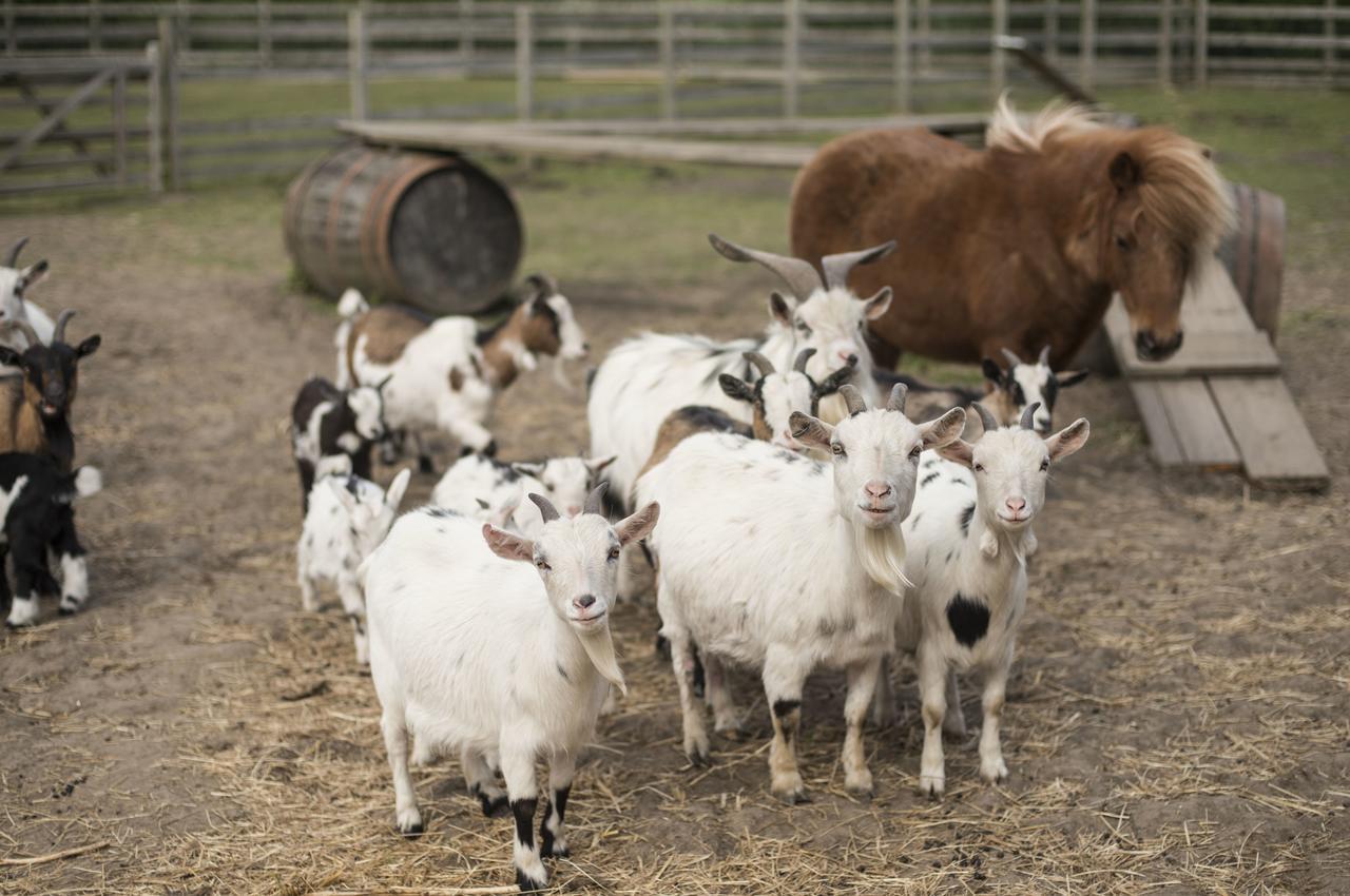 Barmston Farm Hotell Kingston upon Hull Eksteriør bilde